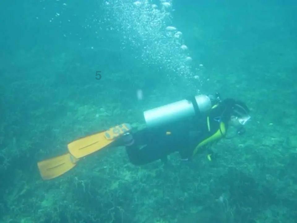 首届松花江滑冰马拉松｜中国吉林网专访杨靖宇将军嫡孙马继民：见证新的世界纪录诞生很激动，靖宇人民秉承了东北抗联精神