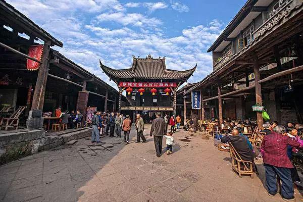 强大的狮子拼图